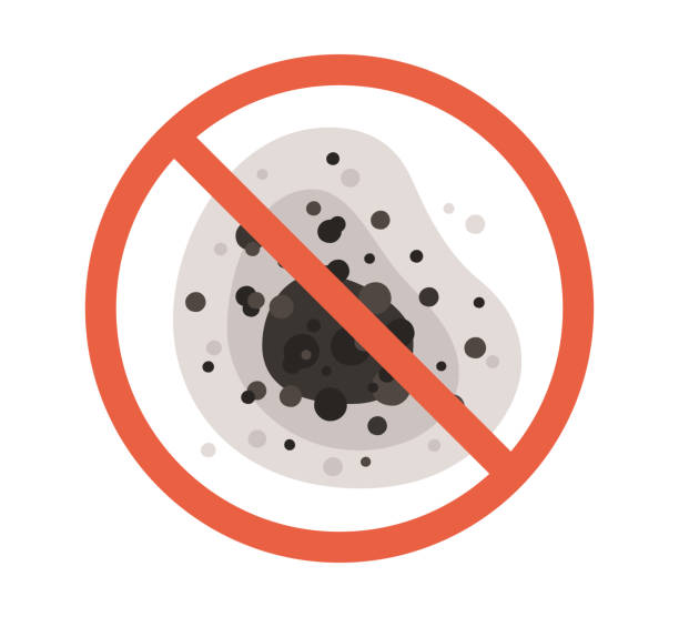 Best Real Estate Mold Inspection  in Trevorton, PA