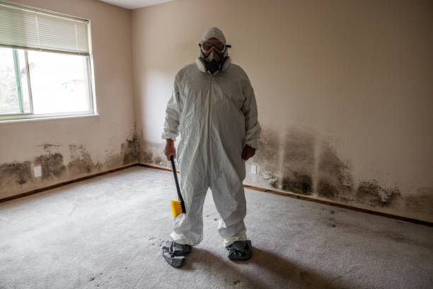 Best Air Quality Testing for Mold Spores  in Trevorton, PA